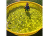 Waterers - Sioux Steel Round Poly Tanks - Sioux Steel