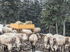 Bale Feeders - Sioux Steel Square Hay Max Feeder - Sioux Steel