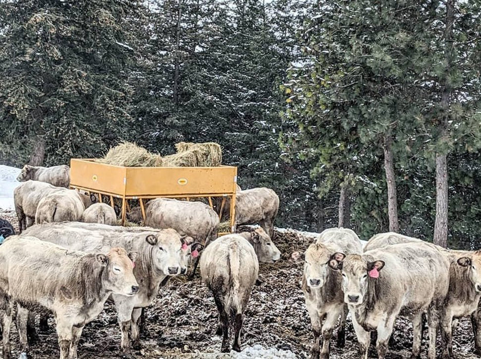 Bale Feeders - Sioux Steel Square Hay Max Feeder - Sioux Steel
