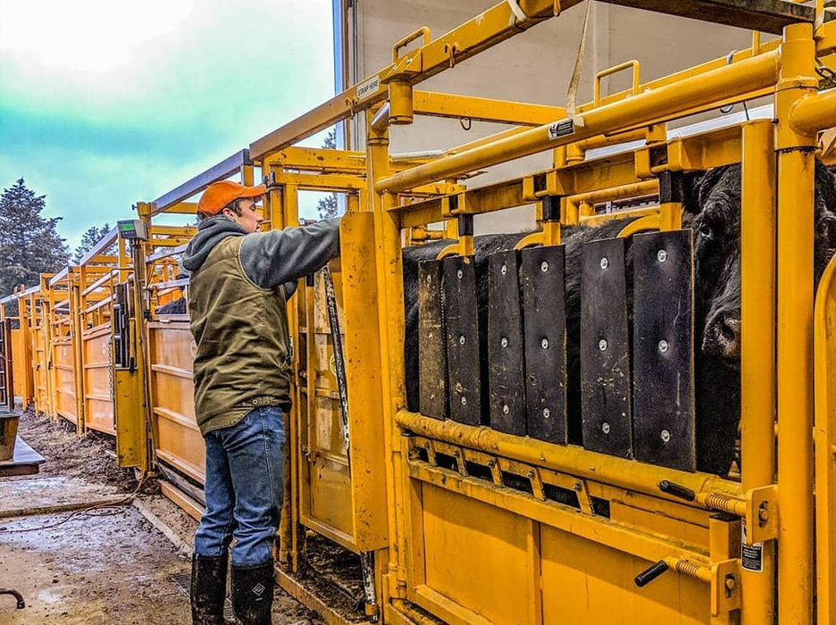 Cattle Chutes - Sioux Steel Squeeze Chute with Automatic Head Gate - Sioux Steel