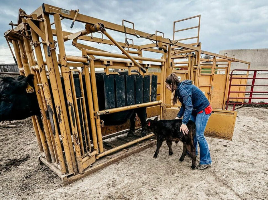 Cattle Chutes - Sioux Steel Squeeze Chute with Automatic Head Gate - Sioux Steel