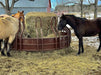 Tombstone Feeders - Sioux Steel Tombstone Bull Feeder - Sioux Steel