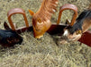 Tombstone Feeders - Sioux Steel Tombstone Bull Feeder - Sioux Steel