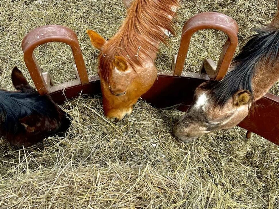 Tombstone Feeders - Sioux Steel Tombstone Bull Feeder - Sioux Steel