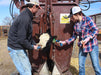 Cattle Chutes - Sioux Steel XL Hydraulic Squeeze Chute - Sioux Steel